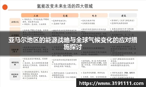 亚马尔地区的能源战略与全球气候变化的应对措施探讨